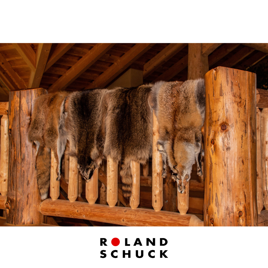 GASTBEITRAG SPANNBRETTER MIT BAUANLEITUNG