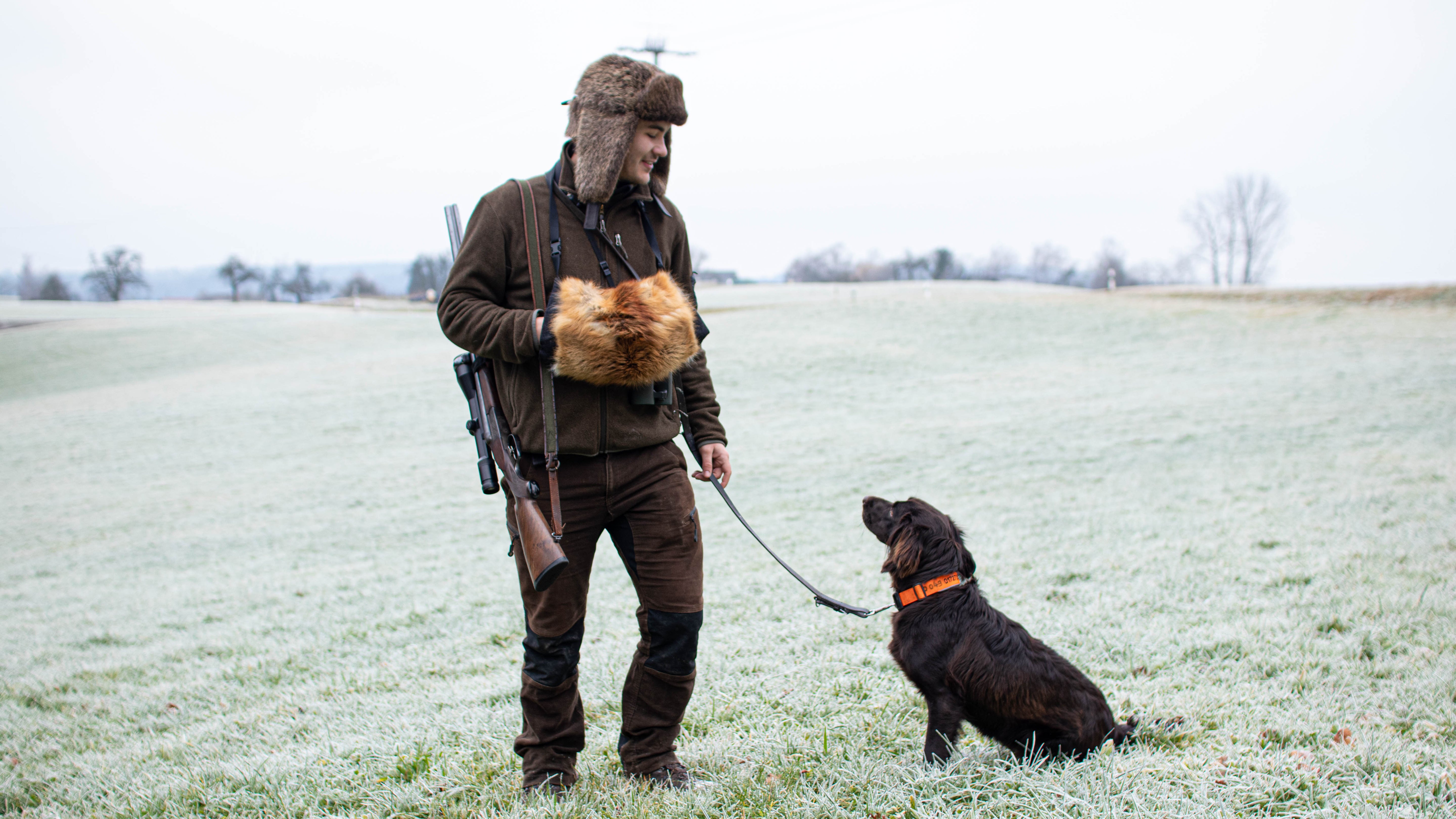 Rotfuchs Fell Muff mit Jagdhund.JPG__PID:a1c6f581-41f3-468a-9090-287c28632ba1