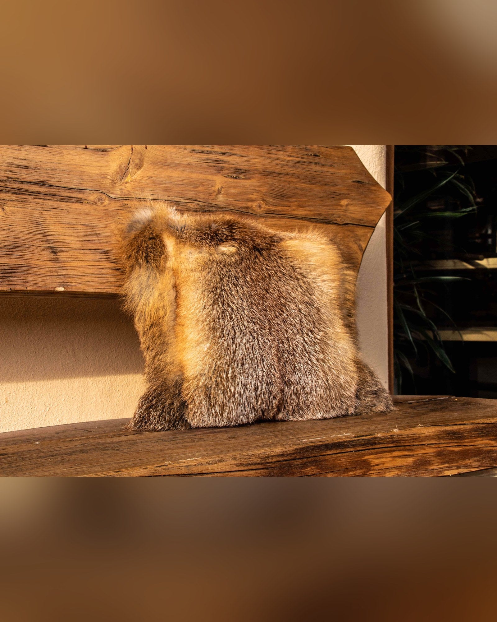 Rotfuchs-Fellkissen auf einem Holzbalken vor dunklem Hintergrund
