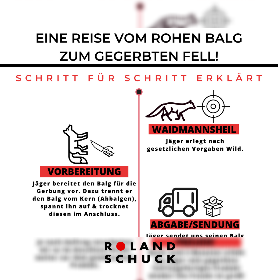 Vom Rohen zum gegerbten Fell